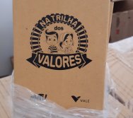 NTV 2020 - TEM ACESSO AS CRIANÇAS ATRAVÉS DO KIT LITERÁRIO NTV - ESTIMULANDO A APRENDENDIZAGEM E A LEITURA EM TEMPO DE PANDEMIA