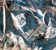 NTV 2020 - TEM ACESSO AS CRIANÇAS ATRAVÉS DO KIT LITERÁRIO NTV - ESTIMULANDO A APRENDENDIZAGEM E A LEITURA EM TEMPO DE PANDEMIA