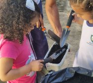 PROGRAMA COLORIR SUSTENTÁVEL - ETAPA PEQUENOS HORTICULTORES