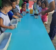 PROGRAMA COLORIR SUSTENTÁVEL - ETAPA PEQUENOS HORTICULTORES