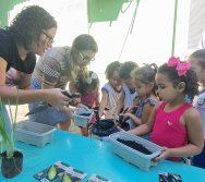 PROGRAMA COLORIR SUSTENTÁVEL - ETAPA PEQUENOS HORTICULTORES