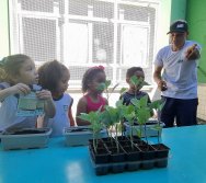 PROGRAMA COLORIR SUSTENTÁVEL - ETAPA PEQUENOS HORTICULTORES