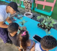 PROGRAMA COLORIR SUSTENTÁVEL - ETAPA PEQUENOS HORTICULTORES