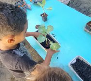 PROGRAMA COLORIR SUSTENTÁVEL - ETAPA PEQUENOS HORTICULTORES