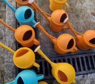 PROGRAMA COLORIR SUSTENTÁVEL - ETAPA PEQUENOS HORTICULTORES