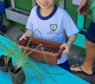 PROGRAMA COLORIR SUSTENTÁVEL - ETAPA PEQUENOS HORTICULTORES
