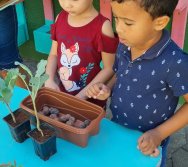 PROGRAMA COLORIR SUSTENTÁVEL - ETAPA PEQUENOS HORTICULTORES