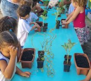PROGRAMA COLORIR SUSTENTÁVEL - ETAPA PEQUENOS HORTICULTORES