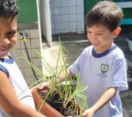 PROGRAMA COLORIR SUSTENTÁVEL - ETAPA PEQUENOS HORTICULTORES