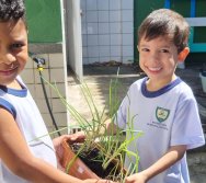 PROGRAMA COLORIR SUSTENTÁVEL - ETAPA PEQUENOS HORTICULTORES