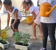 PROGRAMA COLORIR SUSTENTÁVEL - ETAPA PEQUENOS HORTICULTORES