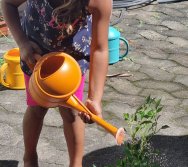 PROGRAMA COLORIR SUSTENTÁVEL - ETAPA PEQUENOS HORTICULTORES