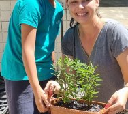PROGRAMA COLORIR SUSTENTÁVEL - ETAPA PEQUENOS HORTICULTORES
