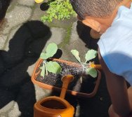 PROGRAMA COLORIR SUSTENTÁVEL - ETAPA PEQUENOS HORTICULTORES