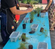 PROGRAMA COLORIR SUSTENTÁVEL - ETAPA PEQUENOS HORTICULTORES