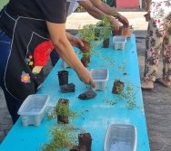 PROGRAMA COLORIR SUSTENTÁVEL - ETAPA PEQUENOS HORTICULTORES