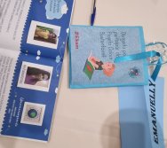 PROGRAMA COLORIR SUSTENTÁVEL - CULMINÂNCIA 