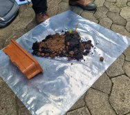 PROJETO COLORIR SUSTENTÁVEL EM AÇÃO NO CMEI VERA CALMON - ANO MANUTENÇÃO