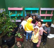 PROJETO COLORIR SUSTENTÁVEL EM AÇÃO NO CMEI VERA CALMON - ANO MANUTENÇÃO