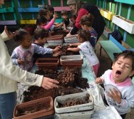 PROJETO COLORIR SUSTENTÁVEL EM AÇÃO NO CMEI VERA CALMON - ANO MANUTENÇÃO