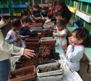 PROJETO COLORIR SUSTENTÁVEL EM AÇÃO NO CMEI VERA CALMON - ANO MANUTENÇÃO