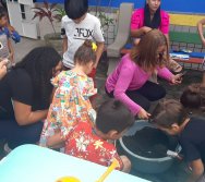 PROJETO COLORIR SUSTENTÁVEL- ETAPA PEQUENOS HORTICULTORES