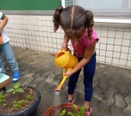 USO DO BIOFERTILIZANTE NA HORTA DO PROJETO COLORIR SUSTENTÁVEL - ELKEM