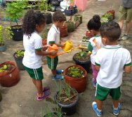 USO DO BIOFERTILIZANTE NA HORTA DO PROJETO COLORIR SUSTENTÁVEL - ELKEM