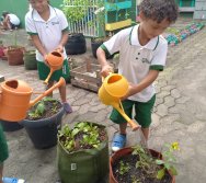 USO DO BIOFERTILIZANTE NA HORTA DO PROJETO COLORIR SUSTENTÁVEL - ELKEM
