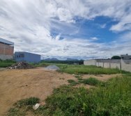 PROJETO COLORIR SUSTENTÁVEL EM AÇÃO NO CMEI SILVESTRE - VISITA TÉCNICA