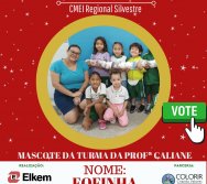 MASCOTE PROJETO COLORIR SUSTENTÁVEL PREMIADO - PARCERIA COM A EMPRESA ELKEM