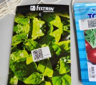 DIA DE PLANTAR RABANETES COM O CMEI REGIONAL SILVESTRE - PEQUENOS HORTICULTORES NO PROJETO COLORIR SUSTENTÁVEL