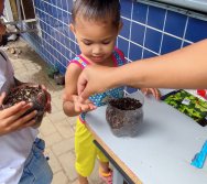 DIA DE PLANTAR RABANETES COM O CMEI REGIONAL SILVESTRE - PEQUENOS HORTICULTORES NO PROJETO COLORIR SUSTENTÁVEL