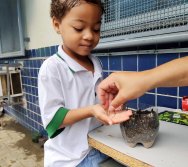 DIA DE PLANTAR RABANETES COM O CMEI REGIONAL SILVESTRE - PEQUENOS HORTICULTORES NO PROJETO COLORIR SUSTENTÁVEL