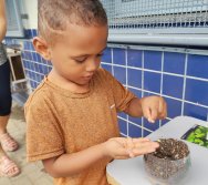 DIA DE PLANTAR RABANETES COM O CMEI REGIONAL SILVESTRE - PEQUENOS HORTICULTORES NO PROJETO COLORIR SUSTENTÁVEL