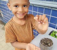 DIA DE PLANTAR RABANETES COM O CMEI REGIONAL SILVESTRE - PEQUENOS HORTICULTORES NO PROJETO COLORIR SUSTENTÁVEL
