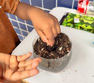 DIA DE PLANTAR RABANETES COM O CMEI REGIONAL SILVESTRE - PEQUENOS HORTICULTORES NO PROJETO COLORIR SUSTENTÁVEL