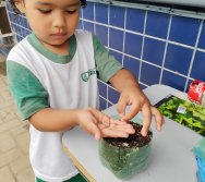 DIA DE PLANTAR RABANETES COM O CMEI REGIONAL SILVESTRE - PEQUENOS HORTICULTORES NO PROJETO COLORIR SUSTENTÁVEL