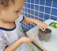 DIA DE PLANTAR RABANETES COM O CMEI REGIONAL SILVESTRE - PEQUENOS HORTICULTORES NO PROJETO COLORIR SUSTENTÁVEL