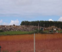 VISITA TÉCNICA DOS PROJETOS SOCIAIS PATROCINADOS PELA MARCA AMBIENTAL À EMPRESA