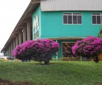 VISITA TÉCNICA DOS PROJETOS SOCIAIS PATROCINADOS PELA MARCA AMBIENTAL À EMPRESA