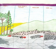 PC3ES = SUSTENTABILIDADE - CAPRI DE PAIS - EMEF CIDADE POMAR - SERRA - ES