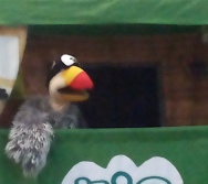 CULMINÂNCIA DO PROGRAMA PC3ES - PARQUE BOTÂNICO DA VALE - VITÓRIA - ES