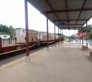 LANÇAMENTO DA EXPOSIÇÃO DE ARTE - PLACAS DE SINALIZAÇÃO - NTV