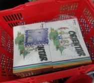 APLICAÇÃO DO PROJETO COLORIR - CMEI MARIA AMÉLIA - ETAPA ORIENTAR