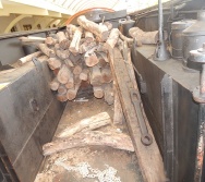 PROJETO NTV - EMEF LACY ZULEICA NUNES - CARAPINA GRANDE - SERRA - AULA DE CAMPO