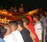 PROJETO NTV - EEEFM JONES JOSÉ DO NASCIMENTO - CENTRAL CARAPINA - SERRA - AULA DE CAMPO