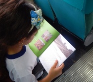 PROJETO NA TRILHA DOS VALORES - AULA DE CAMPO - PASSEIO DE TREM