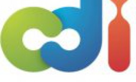 CURSO DE APRIMORAMENTO PARA EDUCADORES SOCIAIS - CDI : TEMA: BULLYING