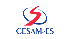 ENFRENTAMENTO AO BULLYING NO CENTRO SALESIANO DO MENOR - VITÓRIA/ES.